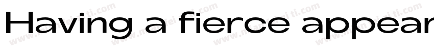Having a fierce appearance字体转换